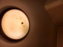 Bugs in ceiling light