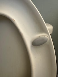 Dirty toilets