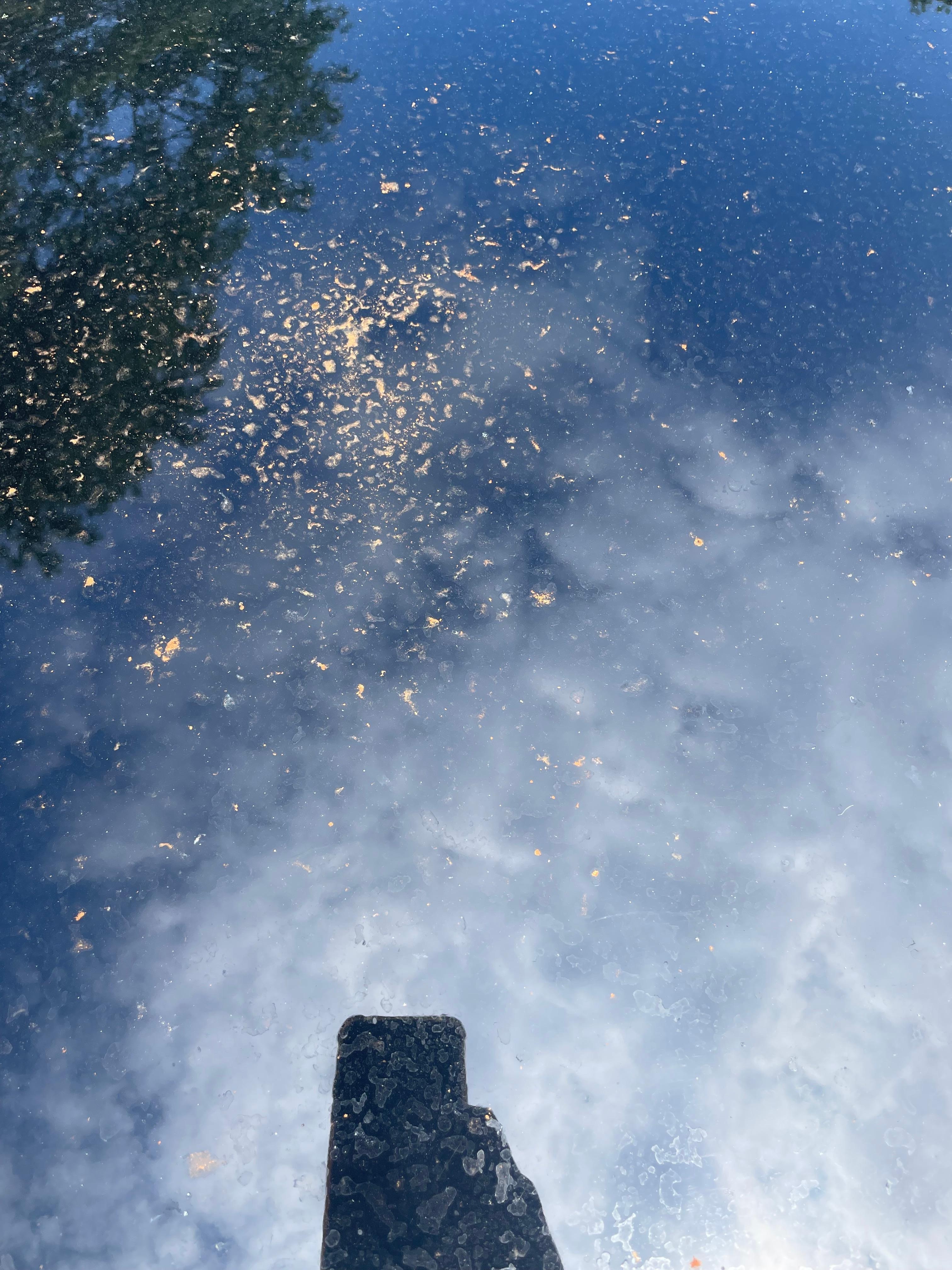 Top of car covered in rust colored substance