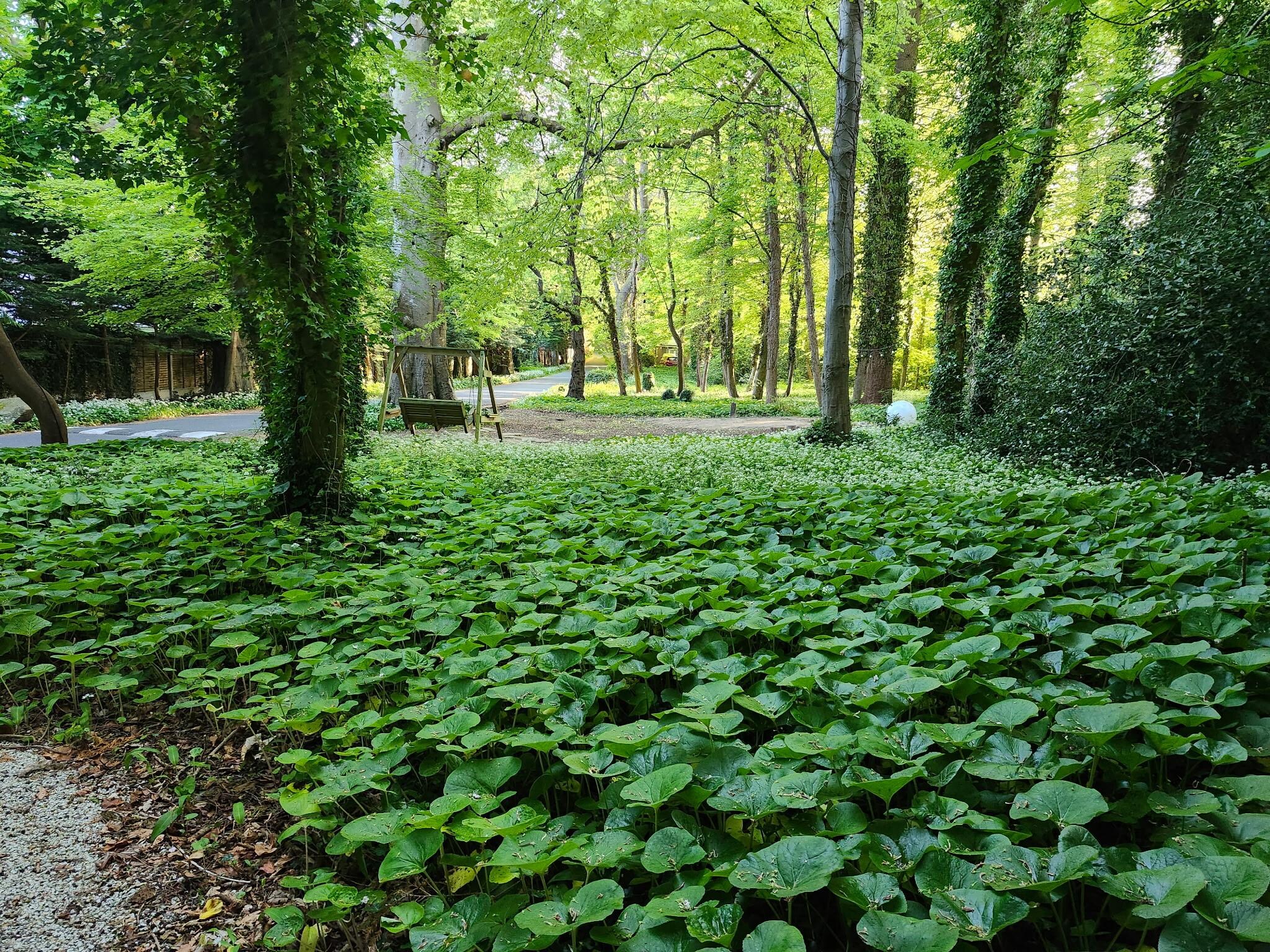 Beautiful grounds