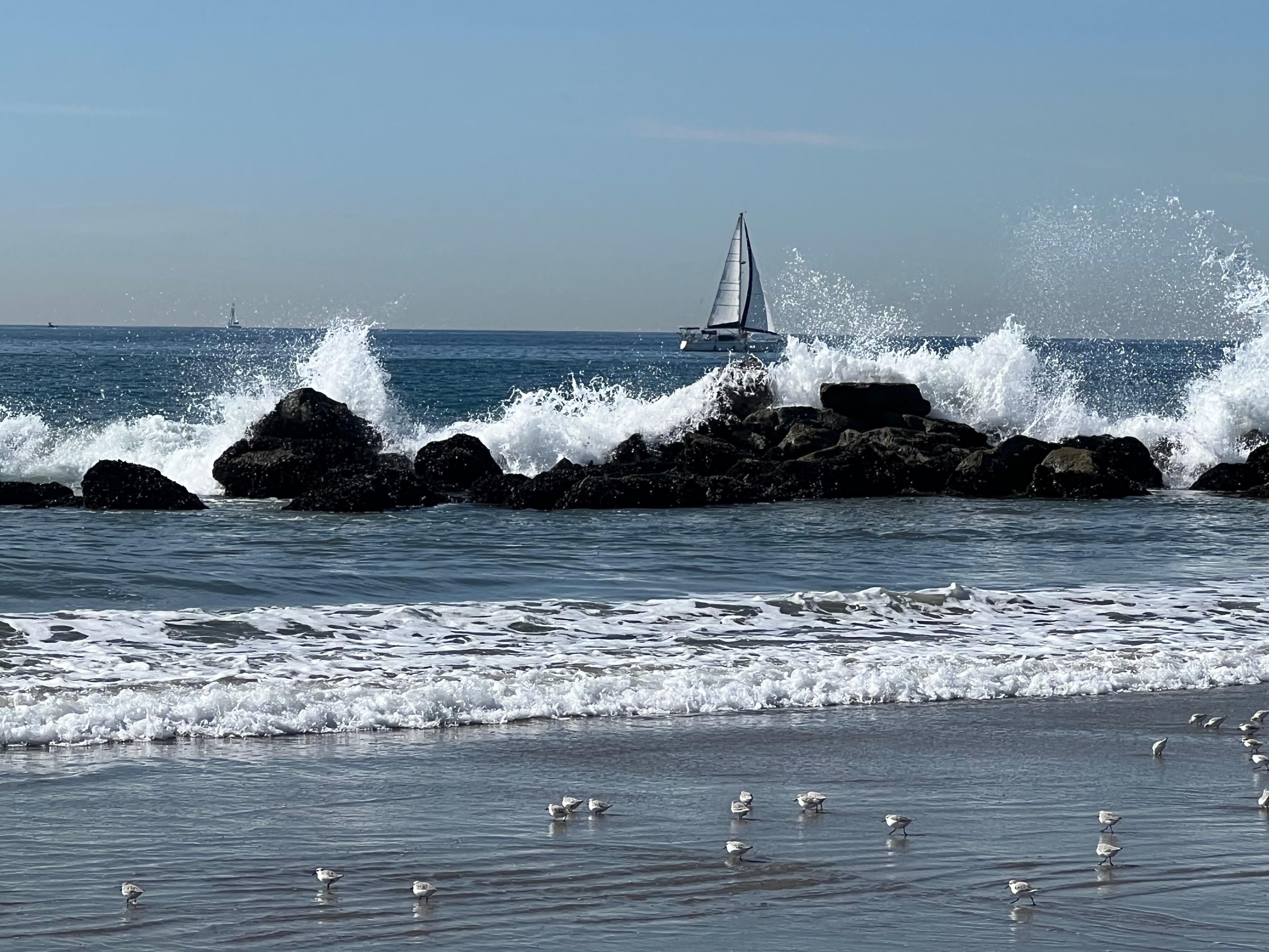 Venice beach