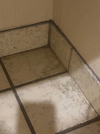 Mold and dirt