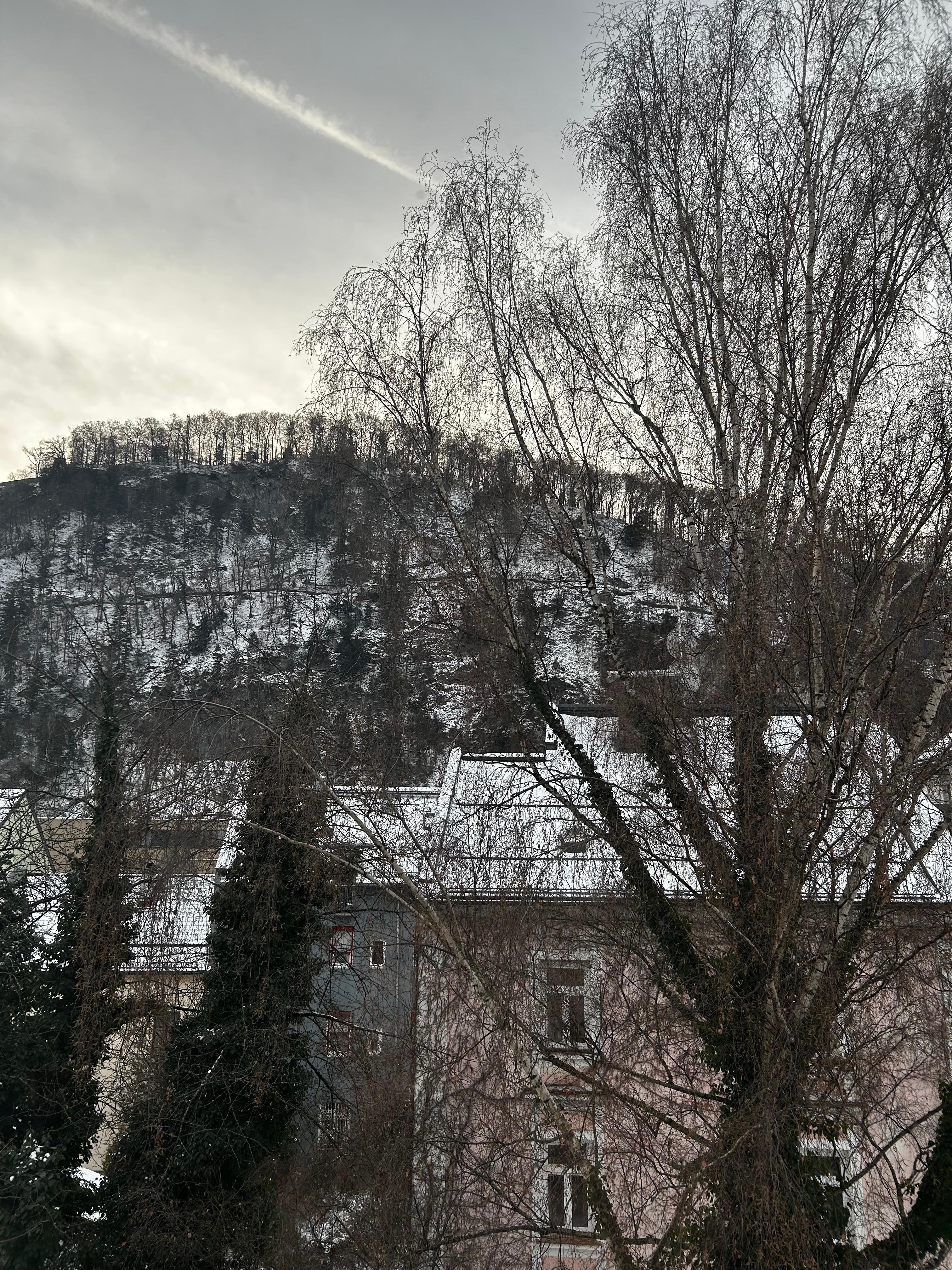 View from our hotel room. 