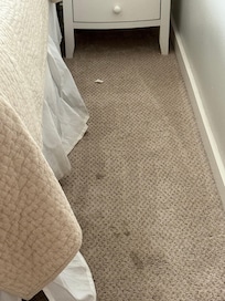 Stained Bedroom Carpet