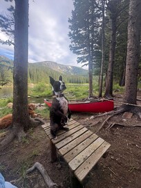 Toby and the canoe in our backyard at the cabin.
