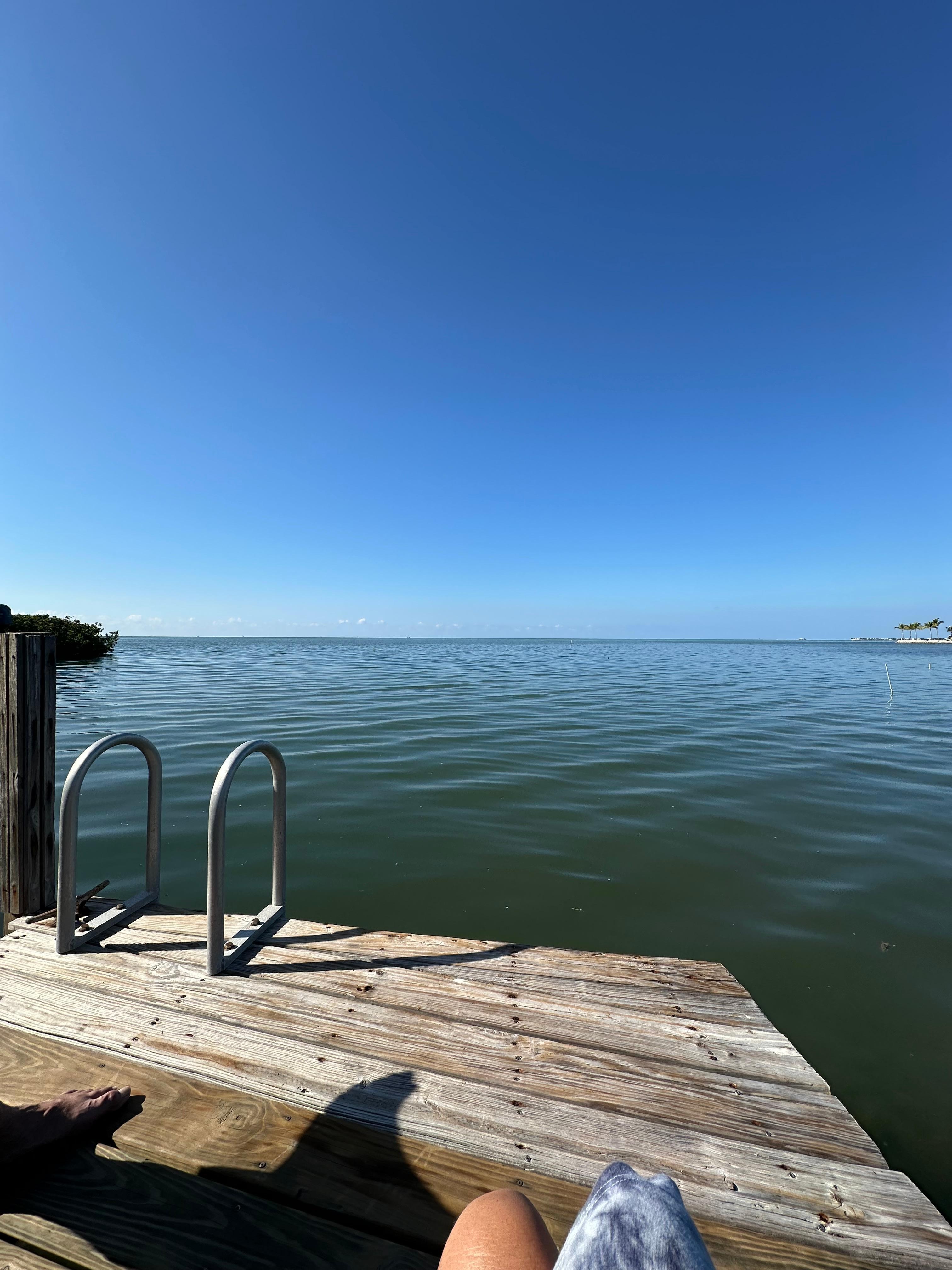 View from dock