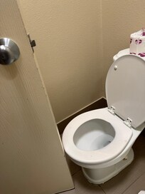 bathroom door hits the toilet