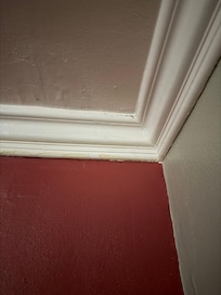 Roof that leaked all night