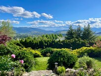 We spent countless hours watching humming birds and just relaxing