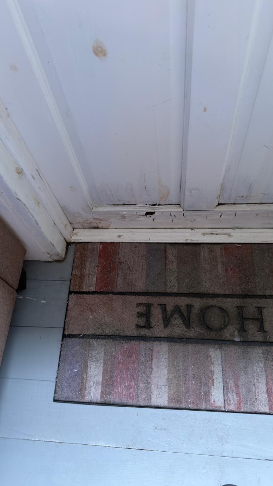 General cleanliness poor