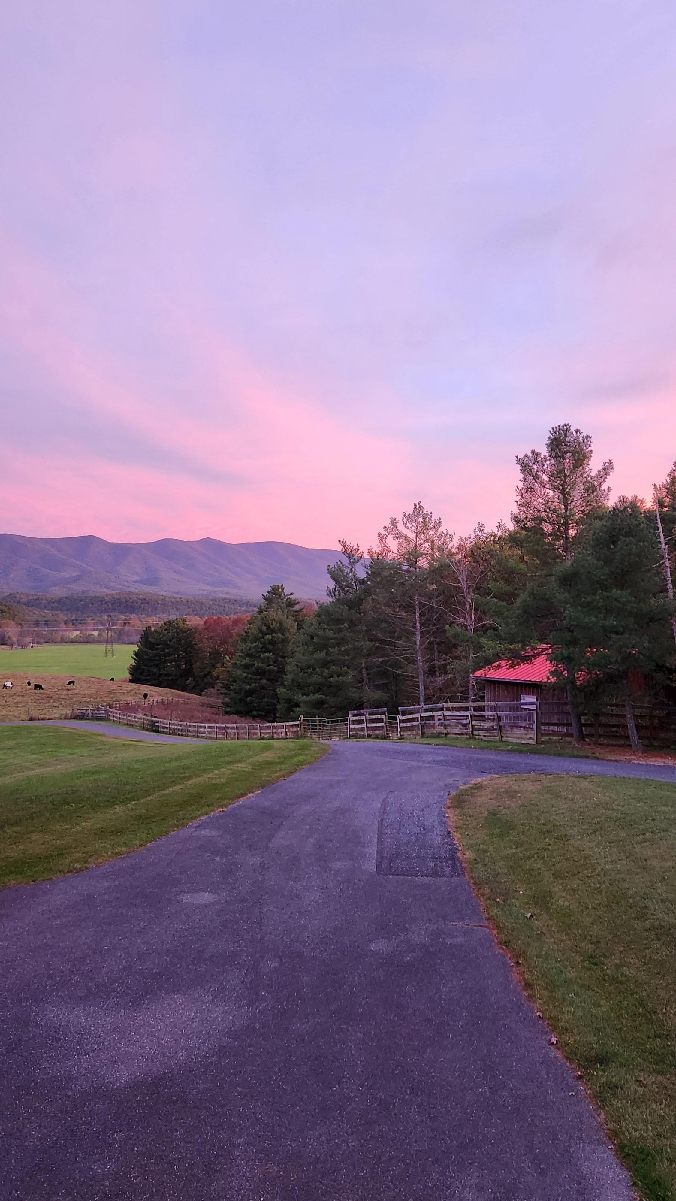 Pink skies at night. 