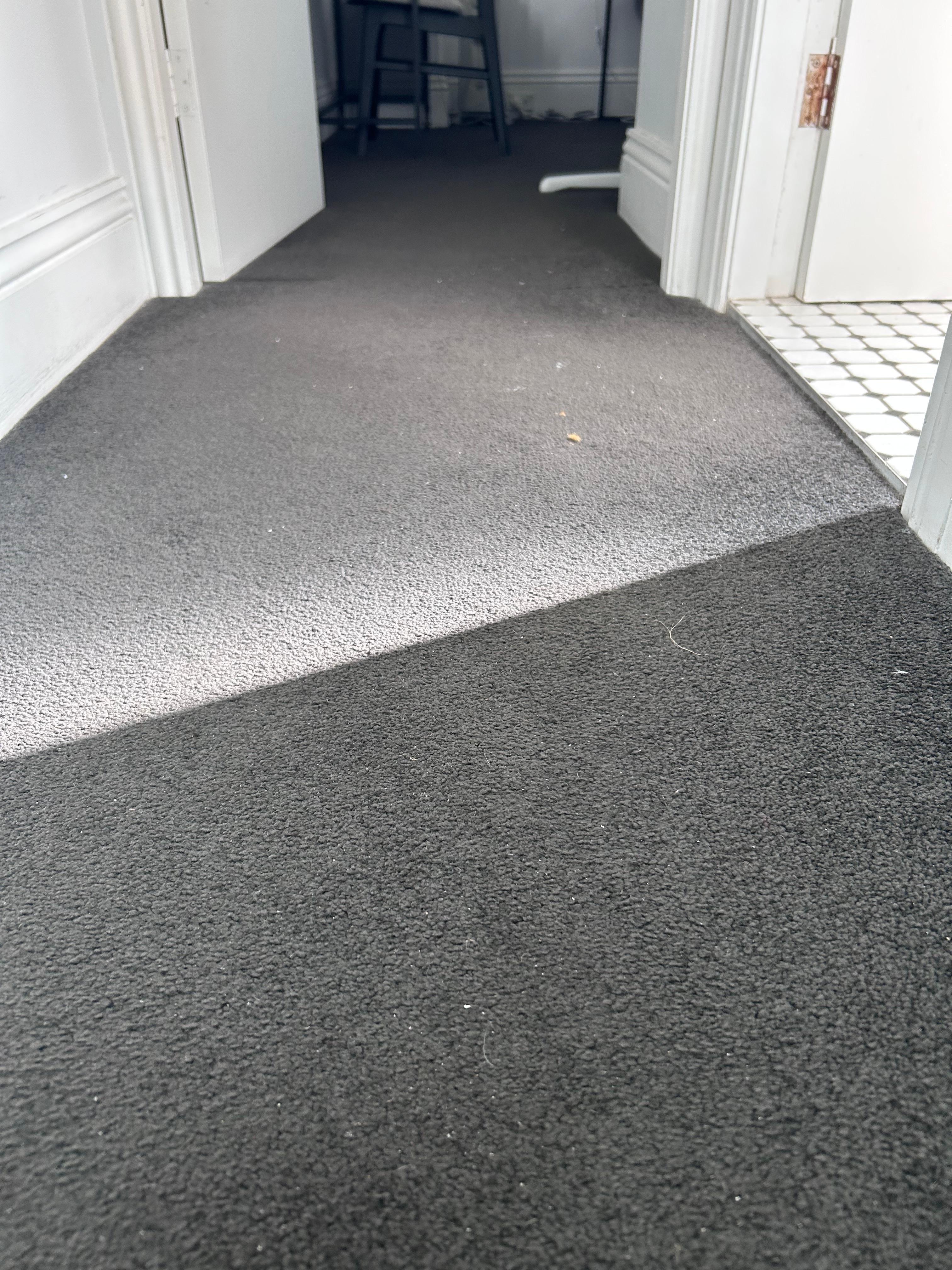 Clearly dirty carpet