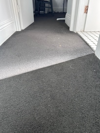 Clearly dirty carpet