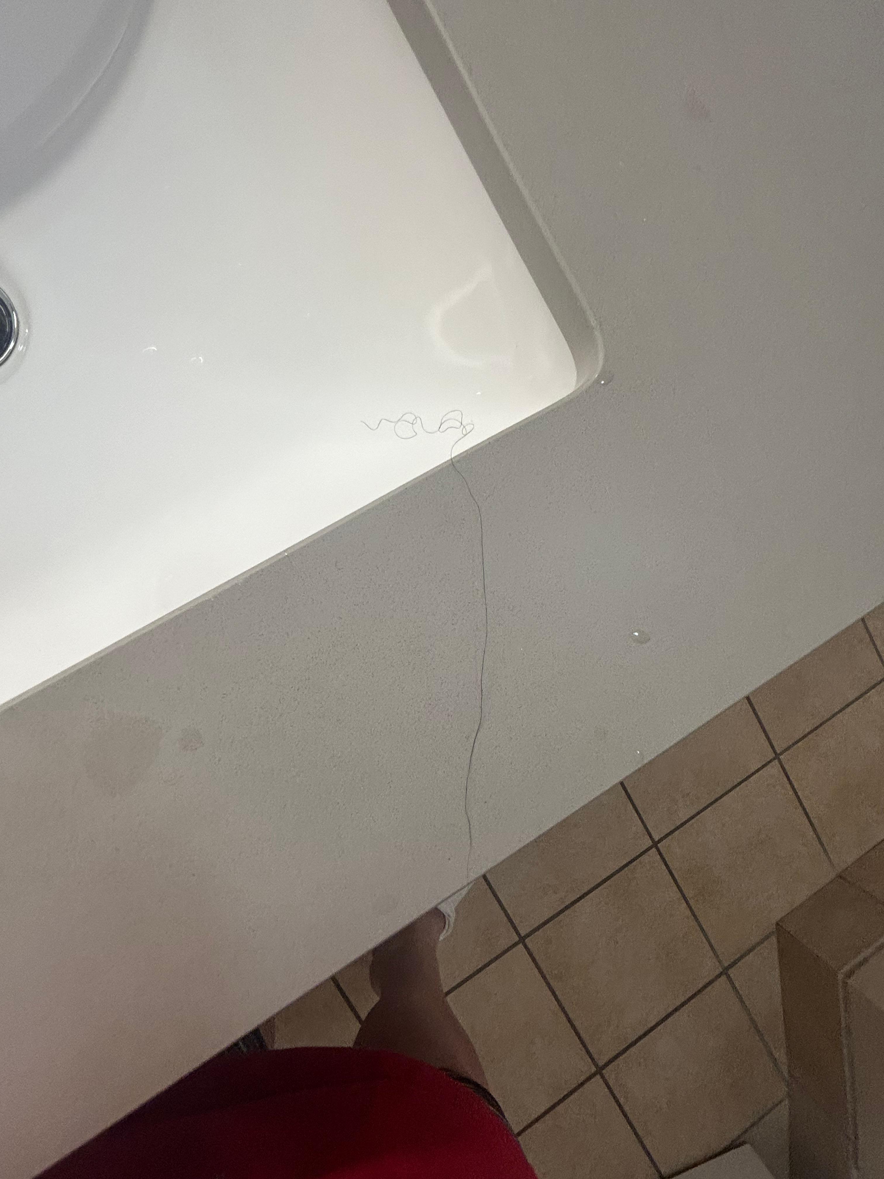 Someone’s black hair in sink 