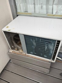 Pigeon poop on the air conditioning/ heating unit