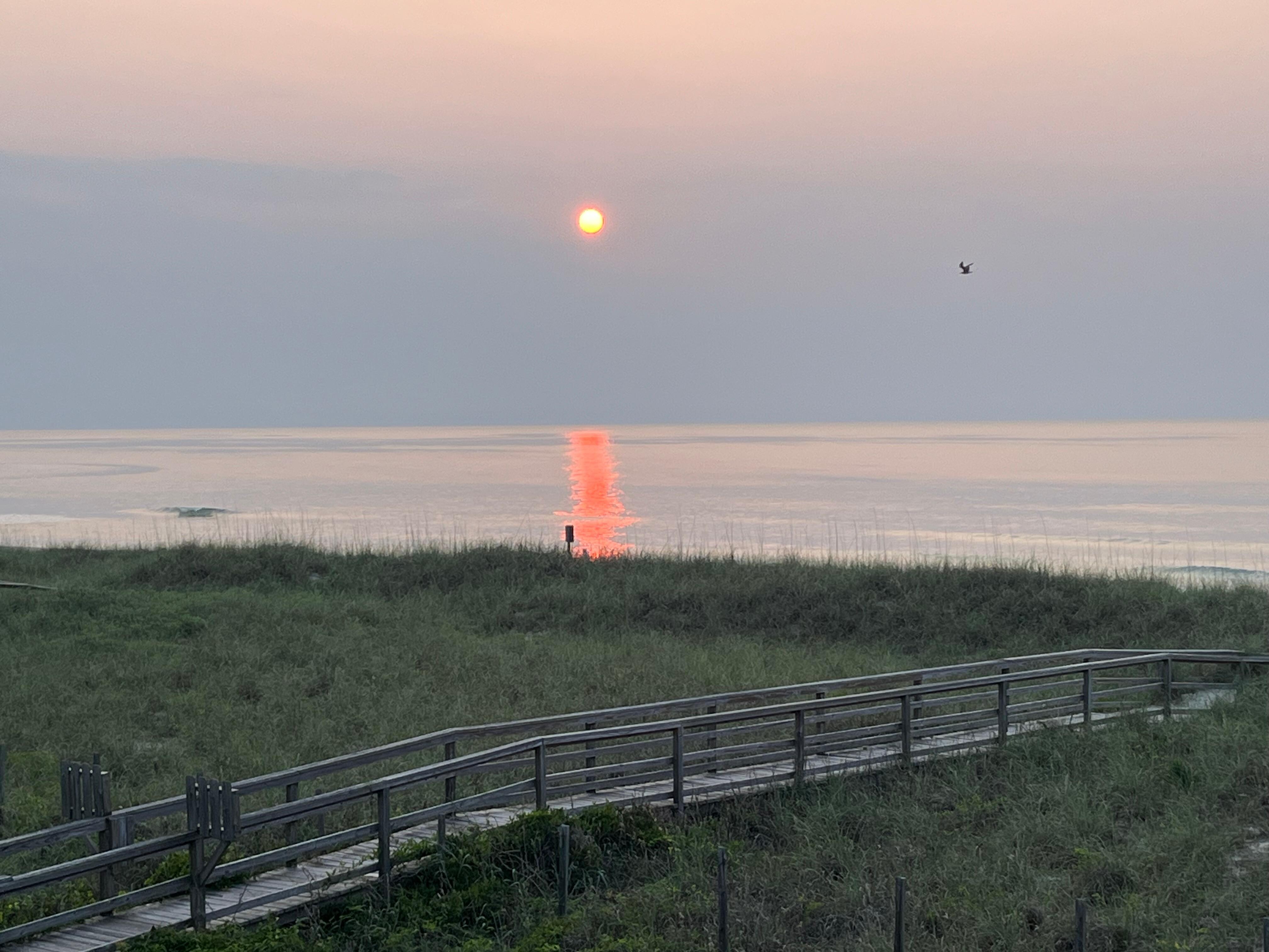 View from the deck. 