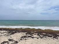 Beach (unable to swim here)