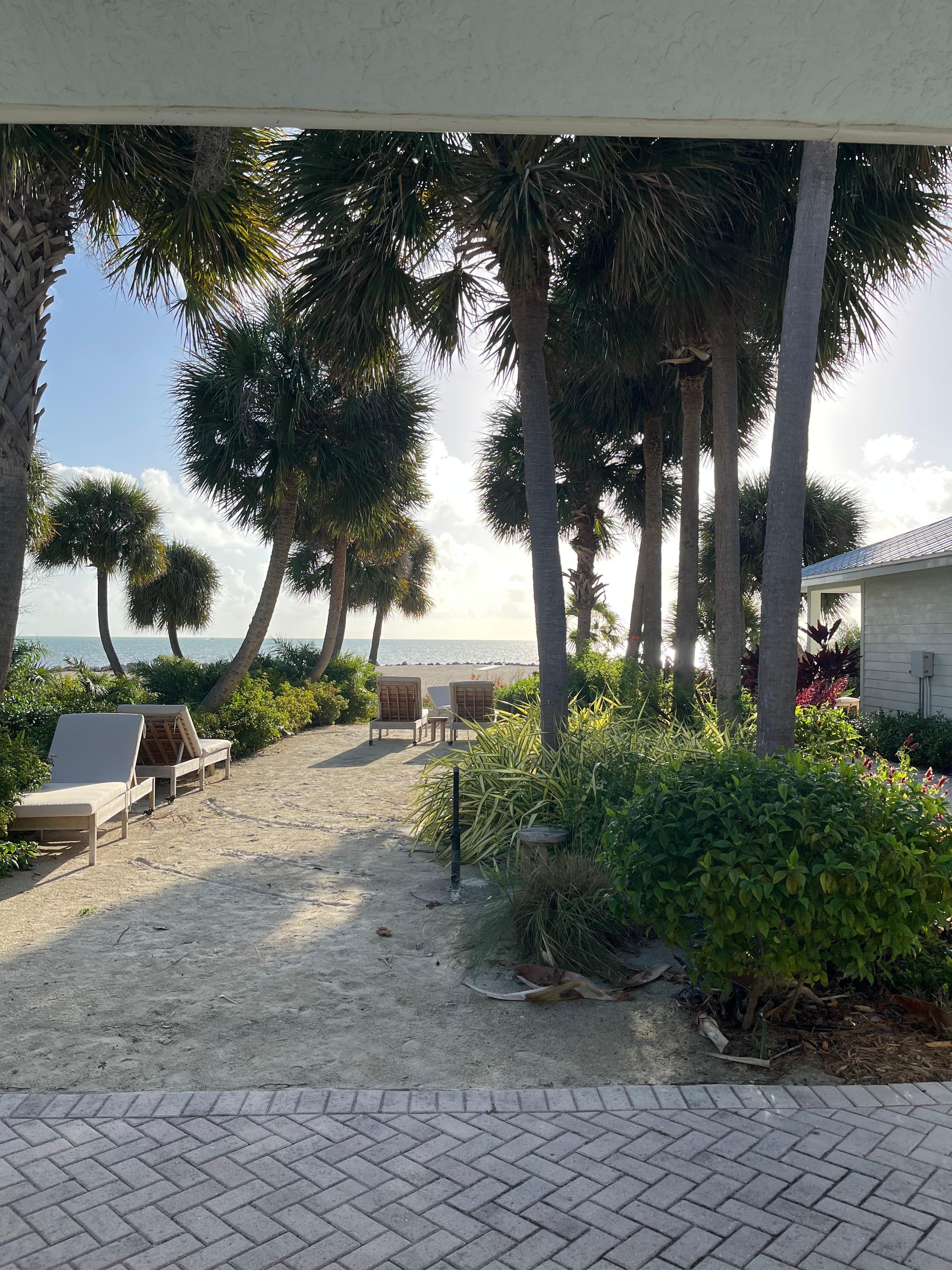 Another beautiful view.