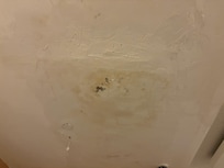 Ceiling leak
