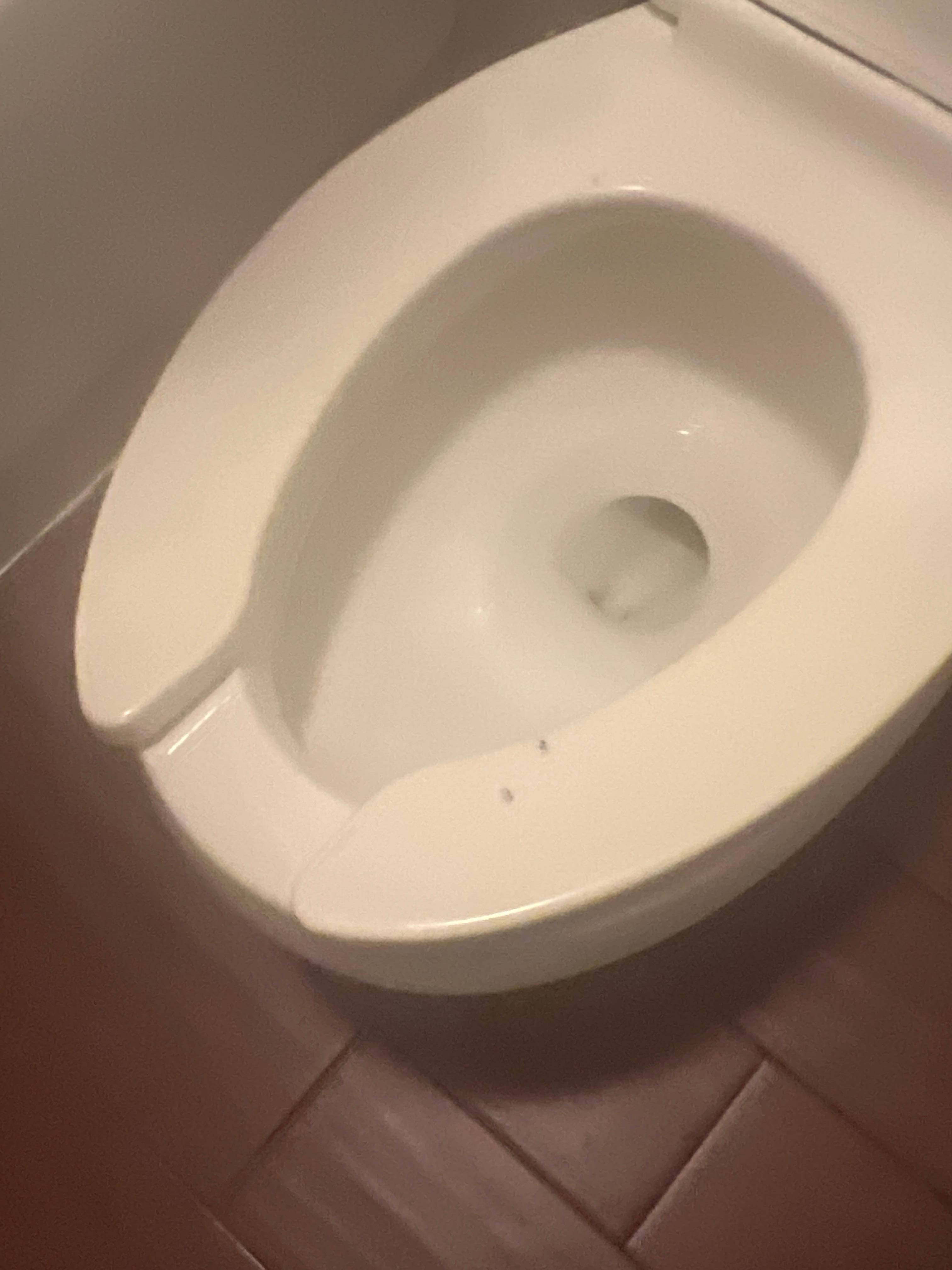 Burnt toilet seat