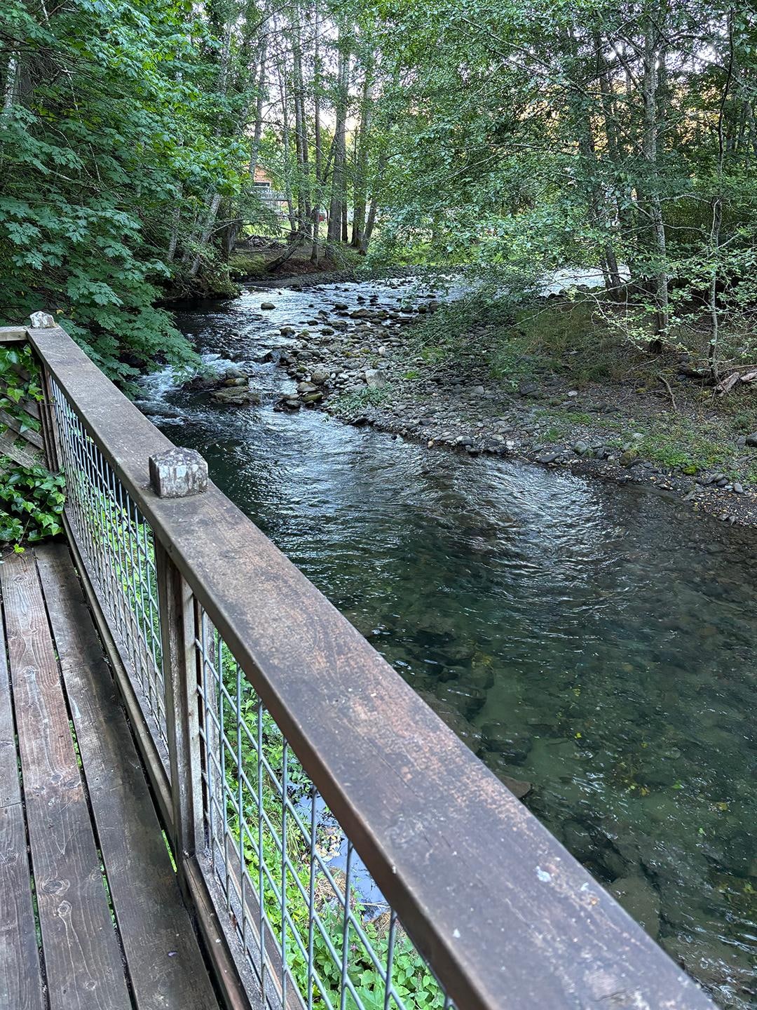 The view from the deck was delightful!