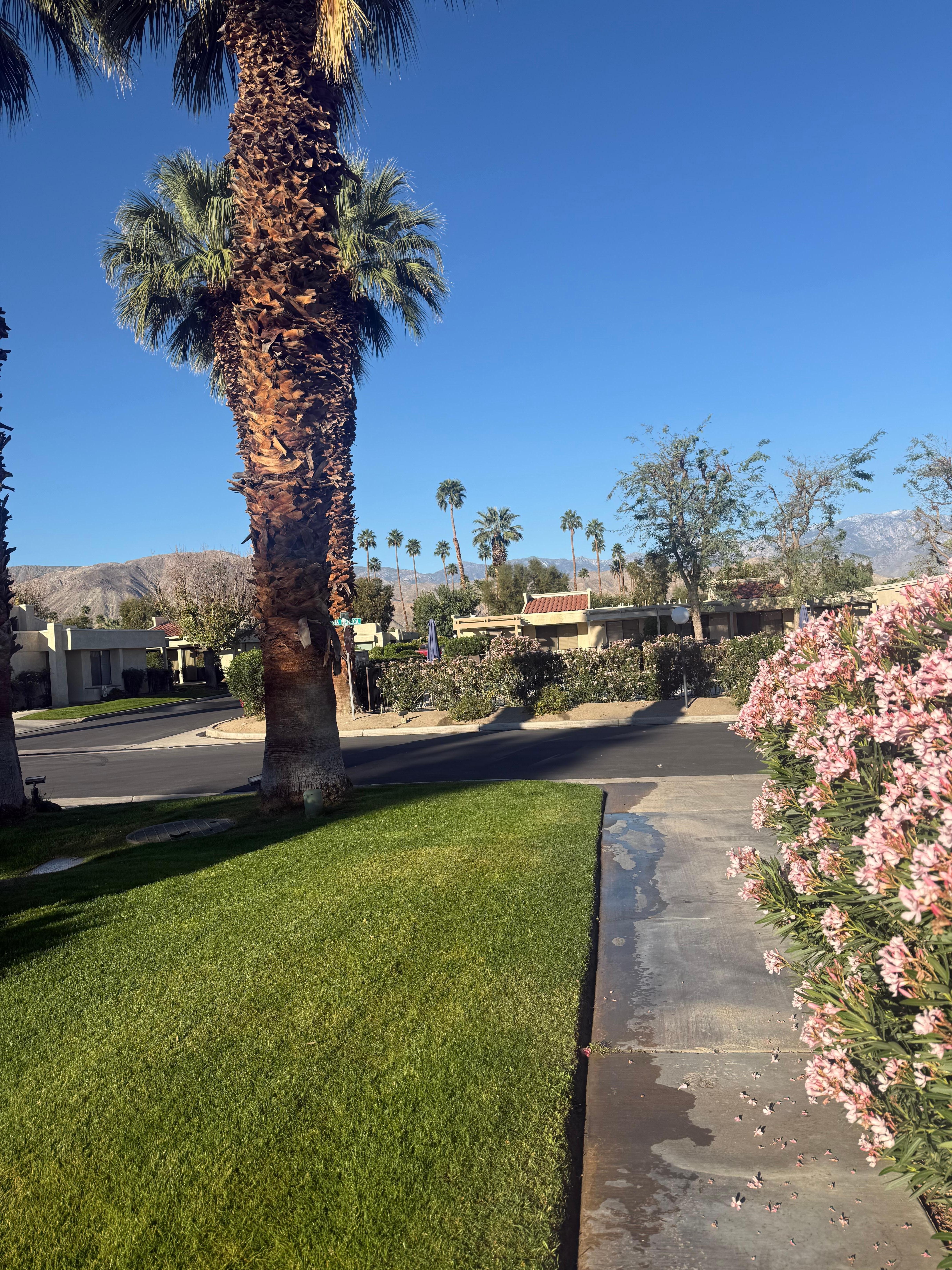 Morning view from front door 