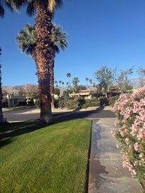 Morning view from front door