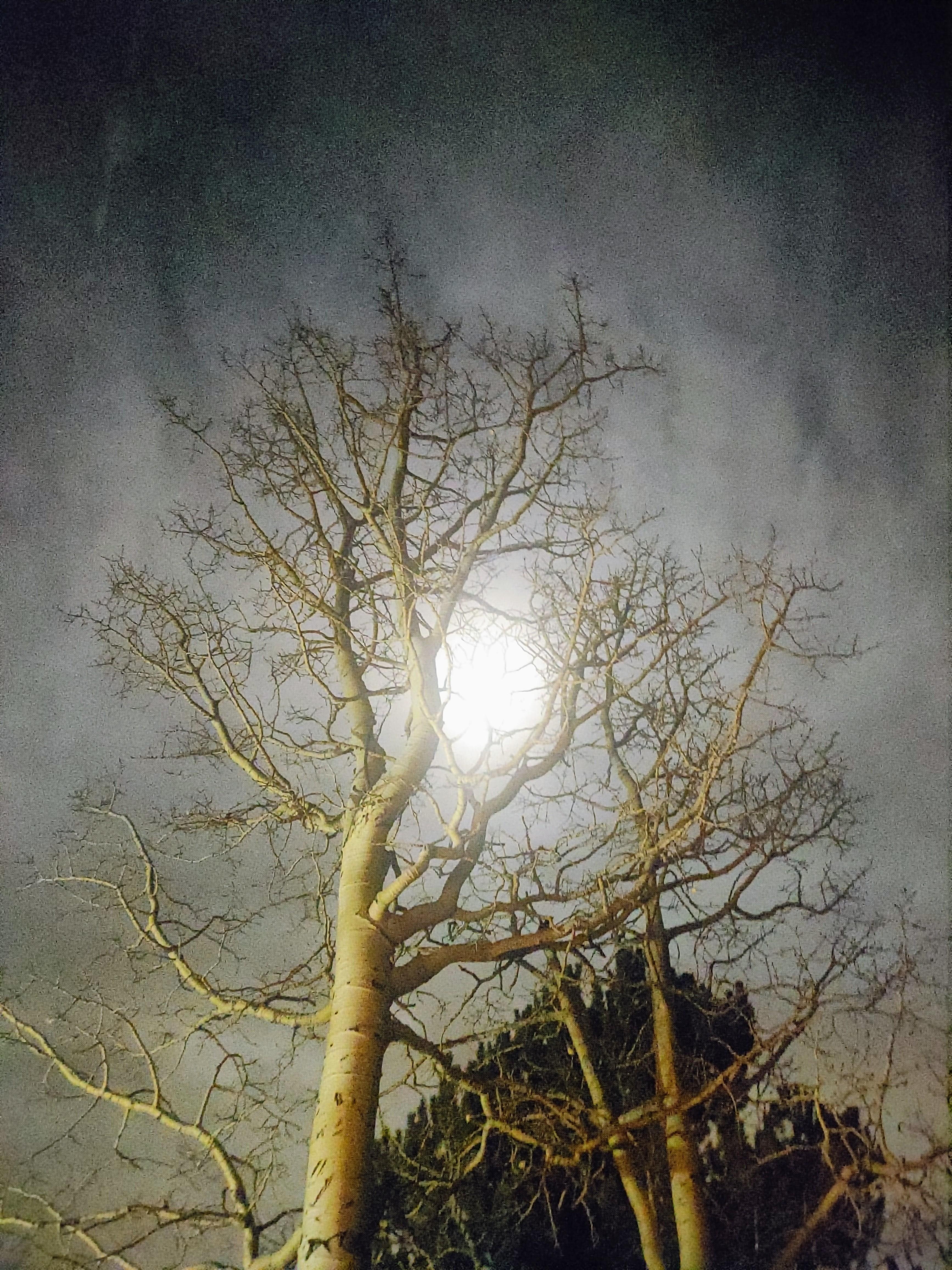 Beaver Moon
11/5/2025