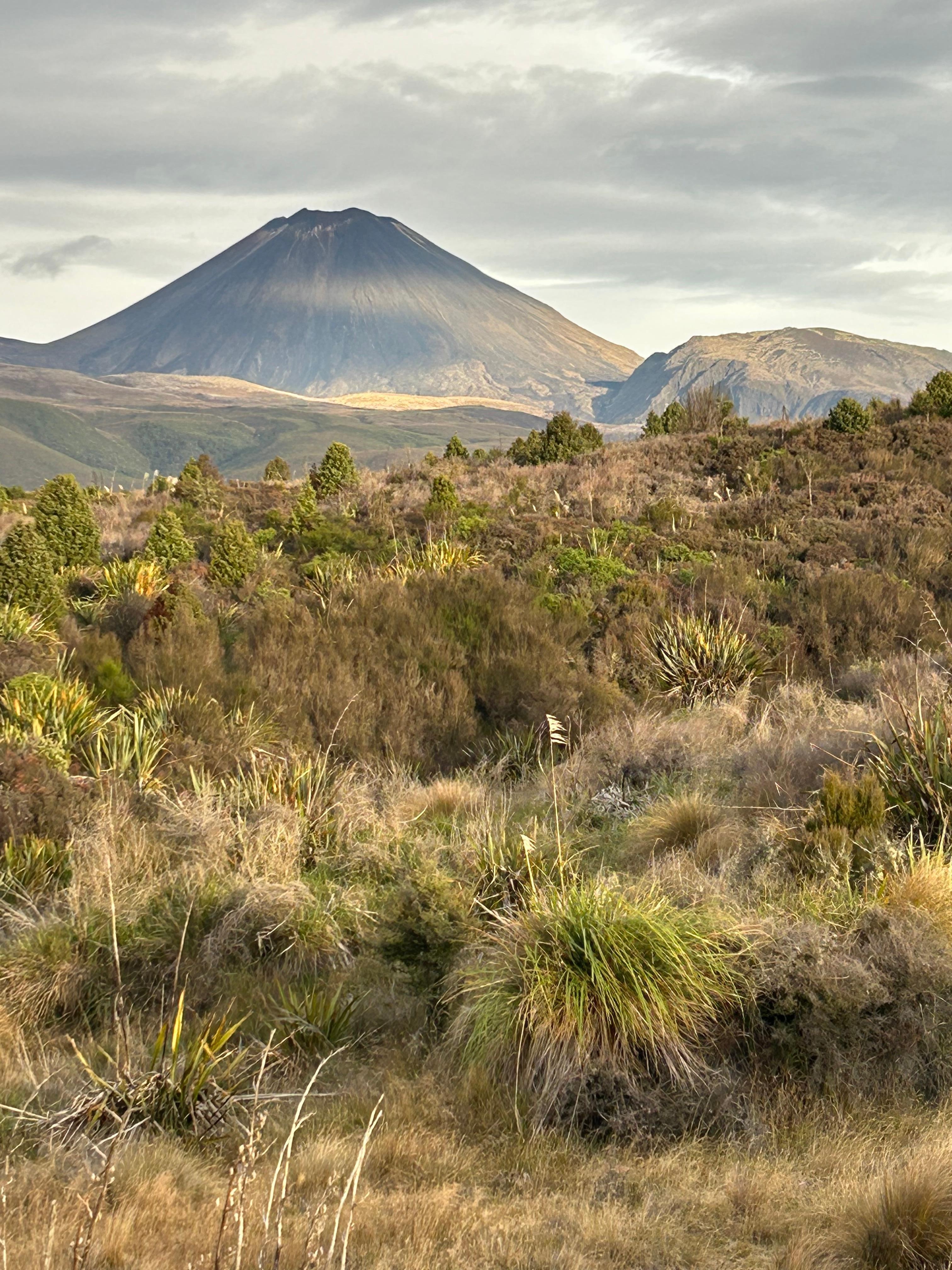 Up the road, great walks!!
