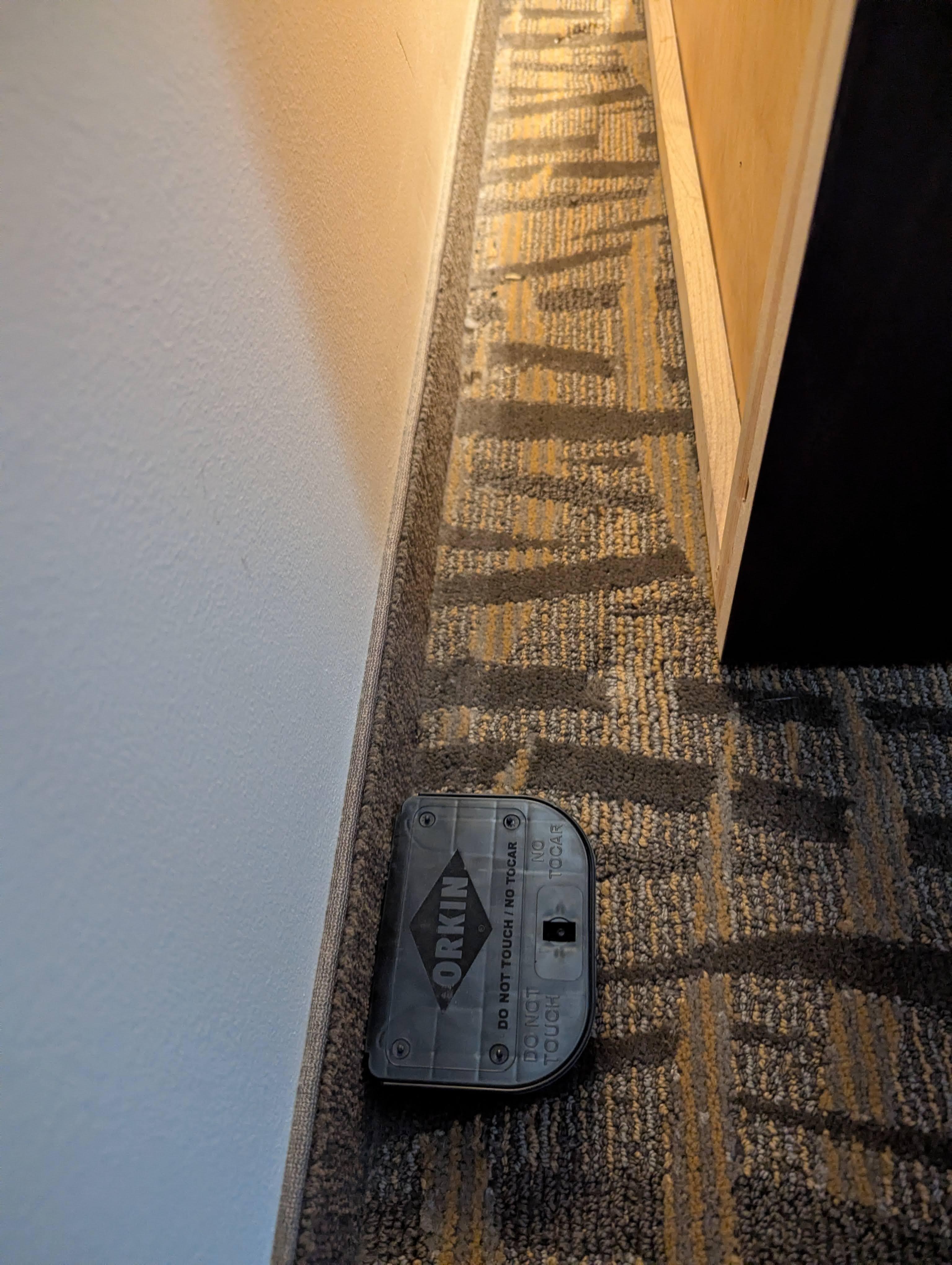 Mouse trap and droppings behind the wardrobe