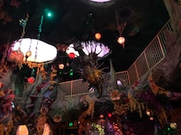 Meow Wolf was very unusual but really cool!