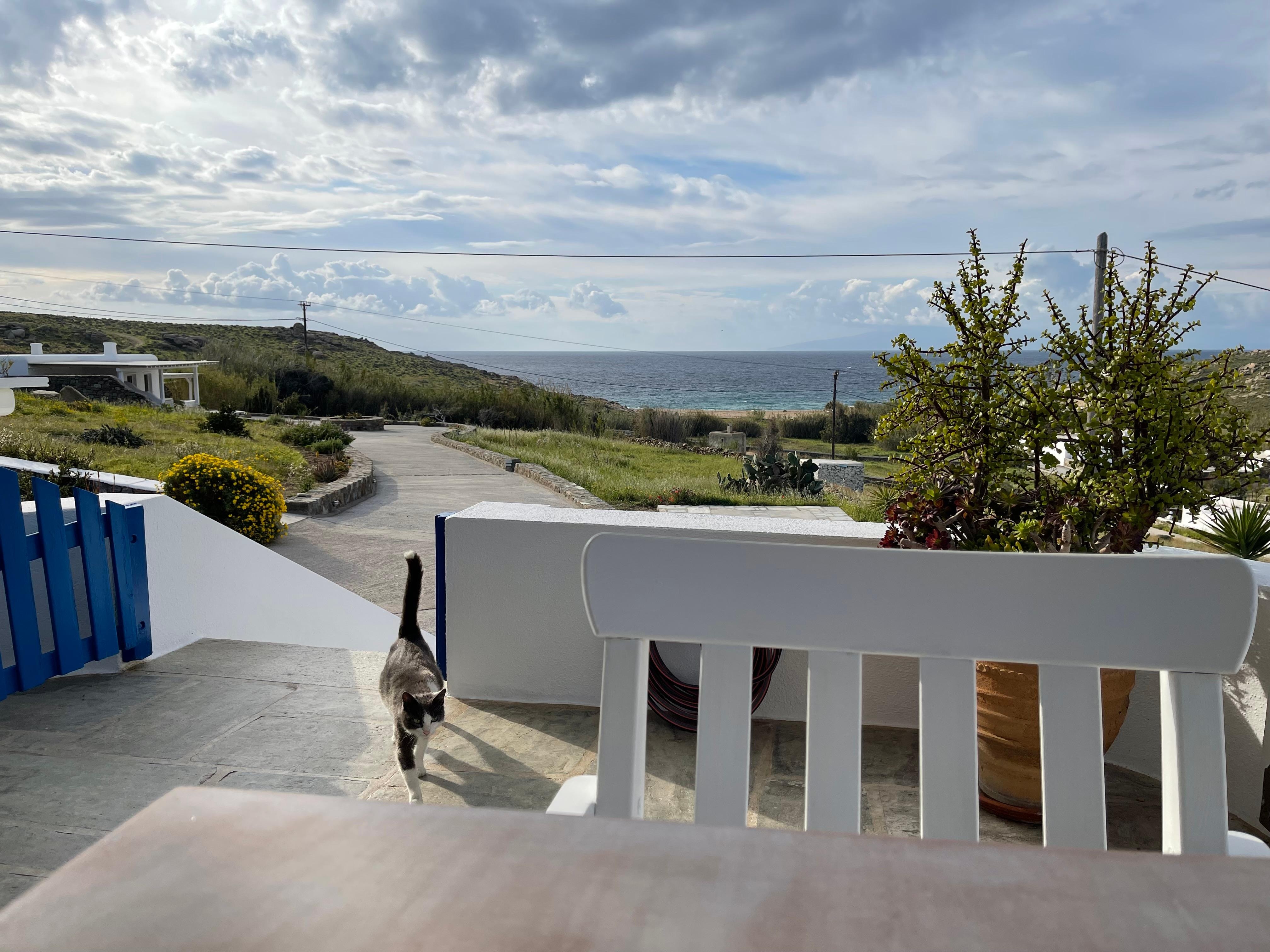 Great views of Lia beach