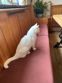In the pub downstairs