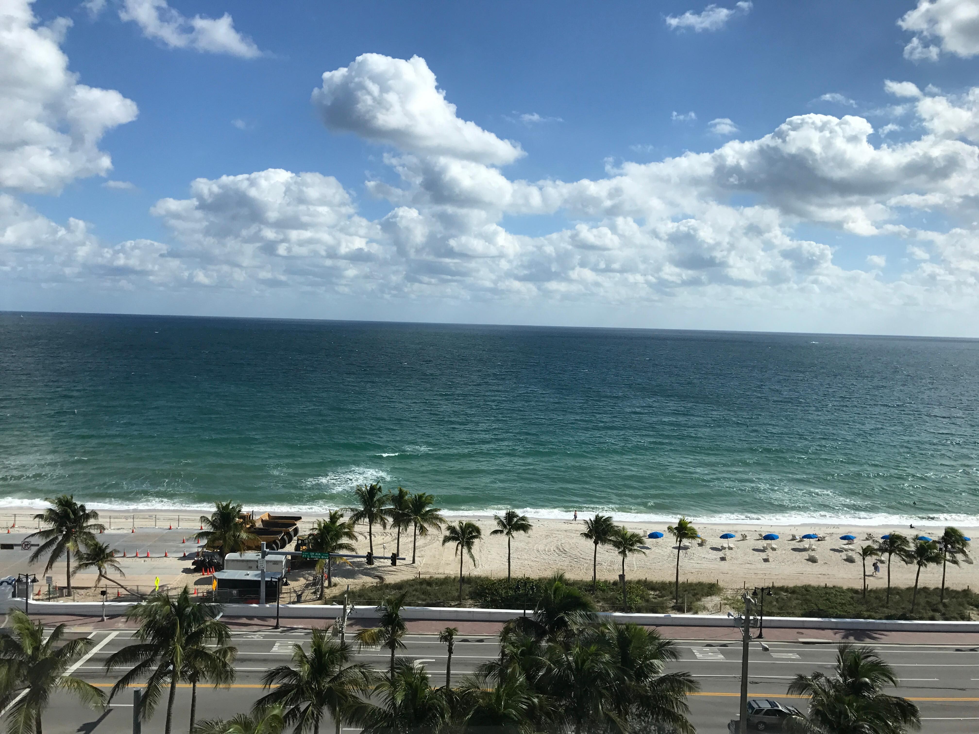 View from my bed