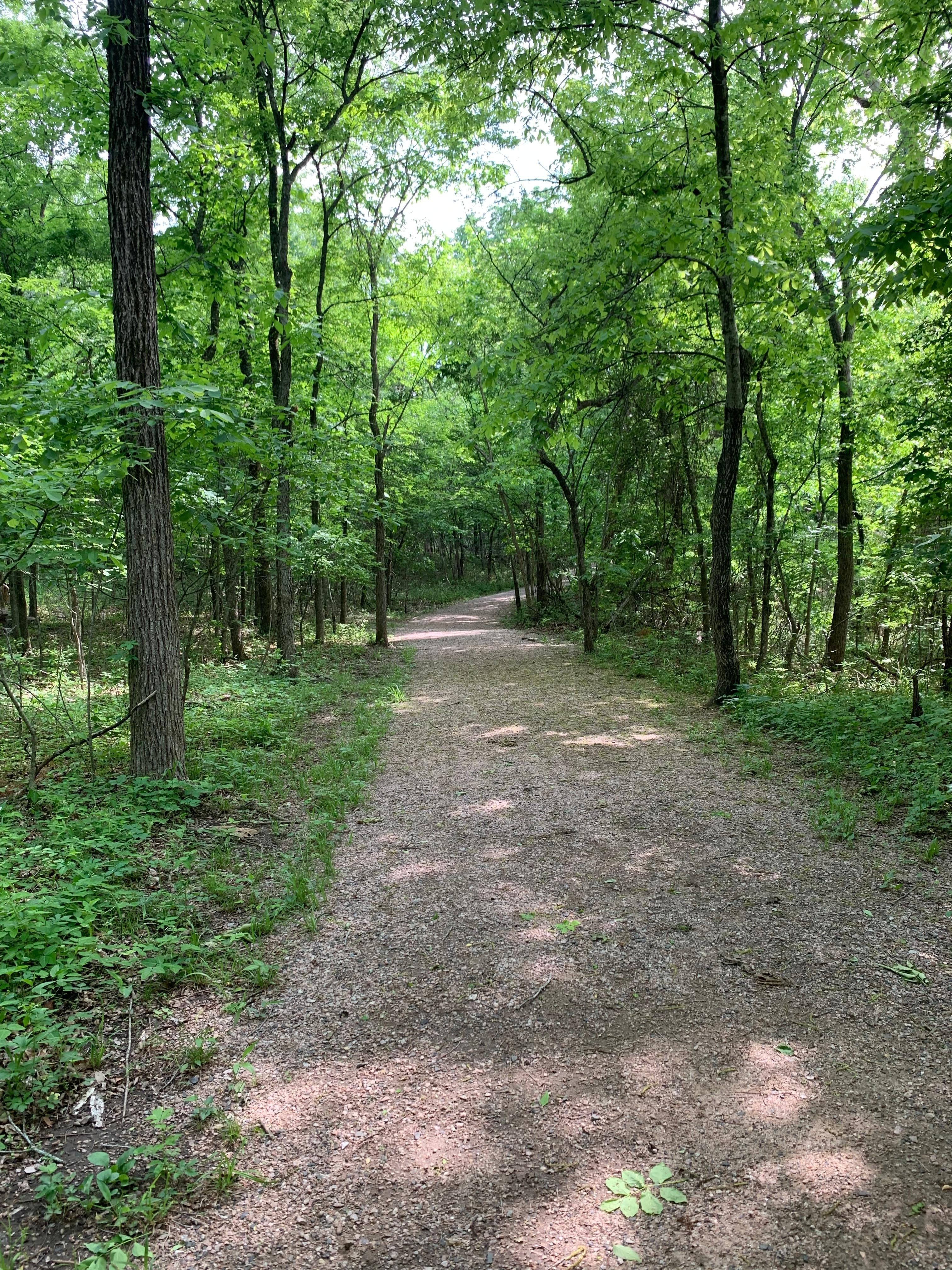 Trail at the Chickasaw National Recreational Area