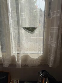 Kitchen window