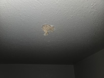 Hole in roof patched by towel?
