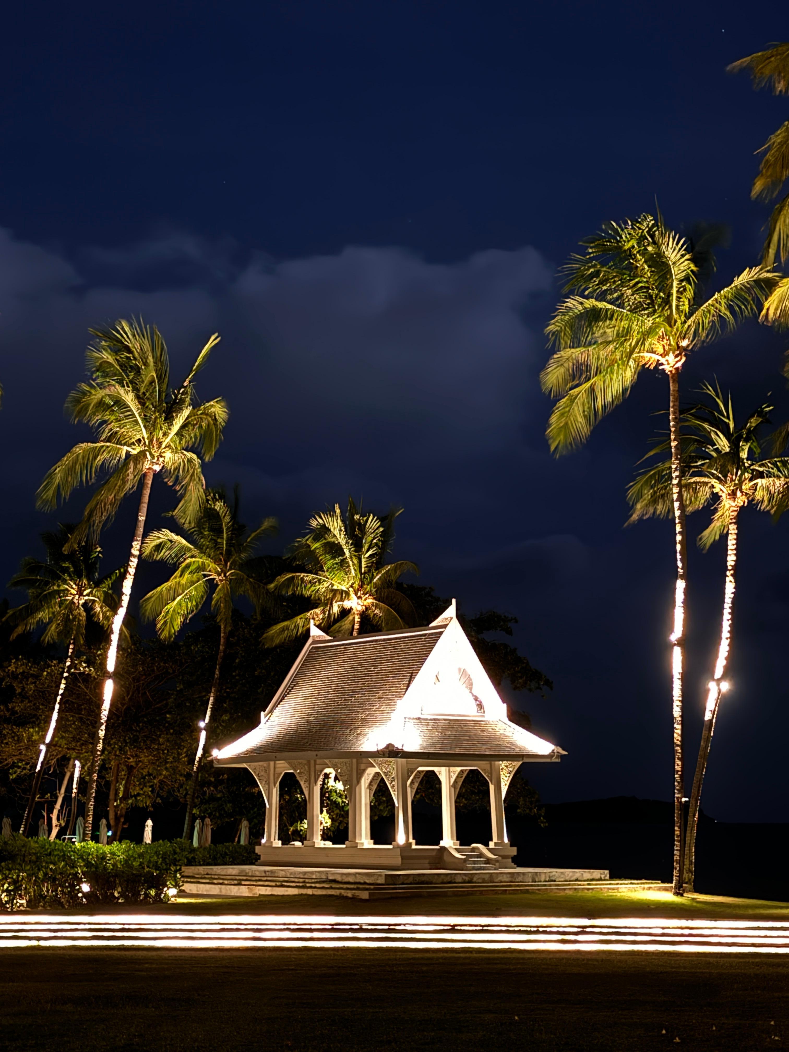 Night view into the garden & sea behind 