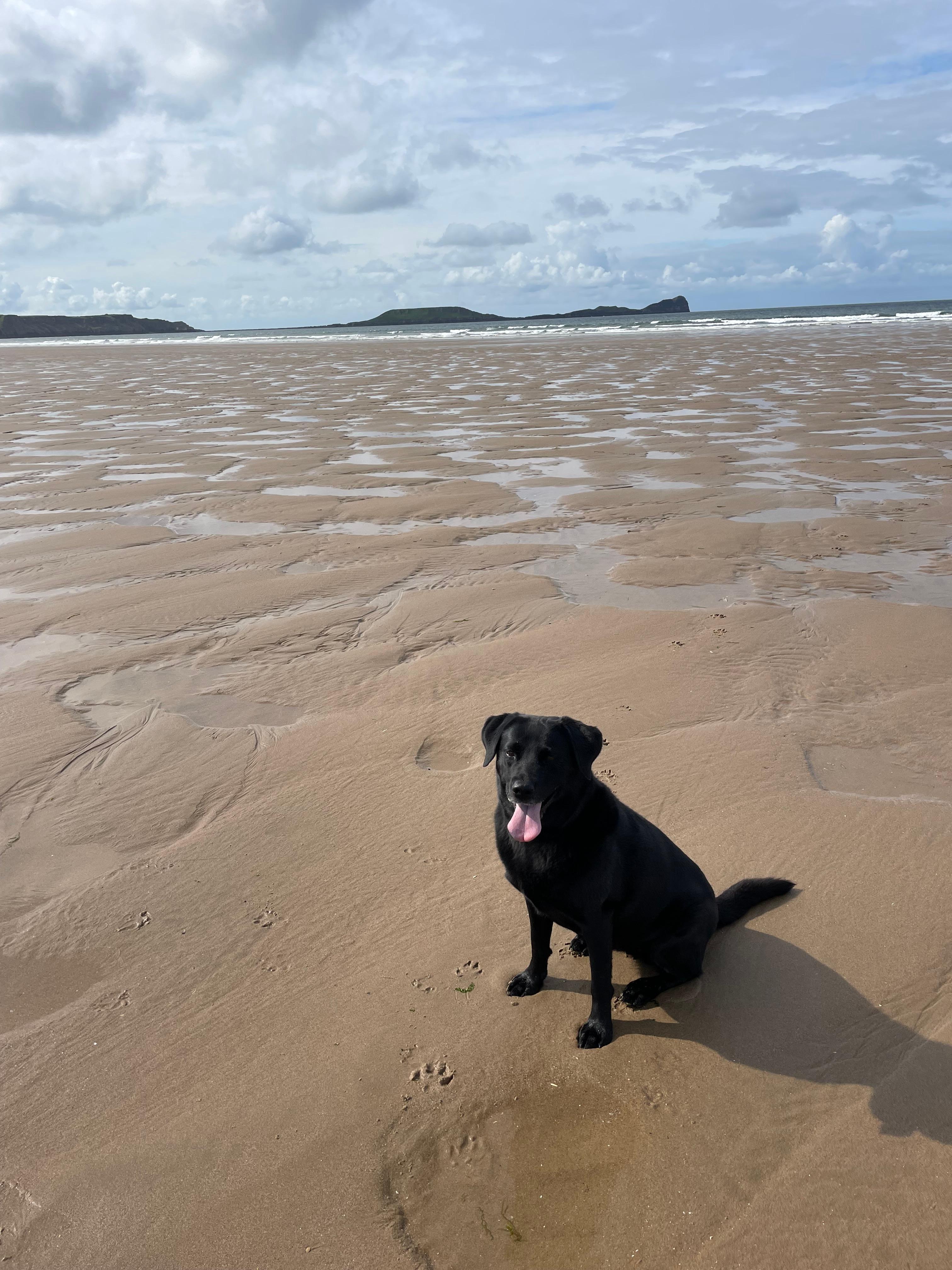 Beach to myself 🐾