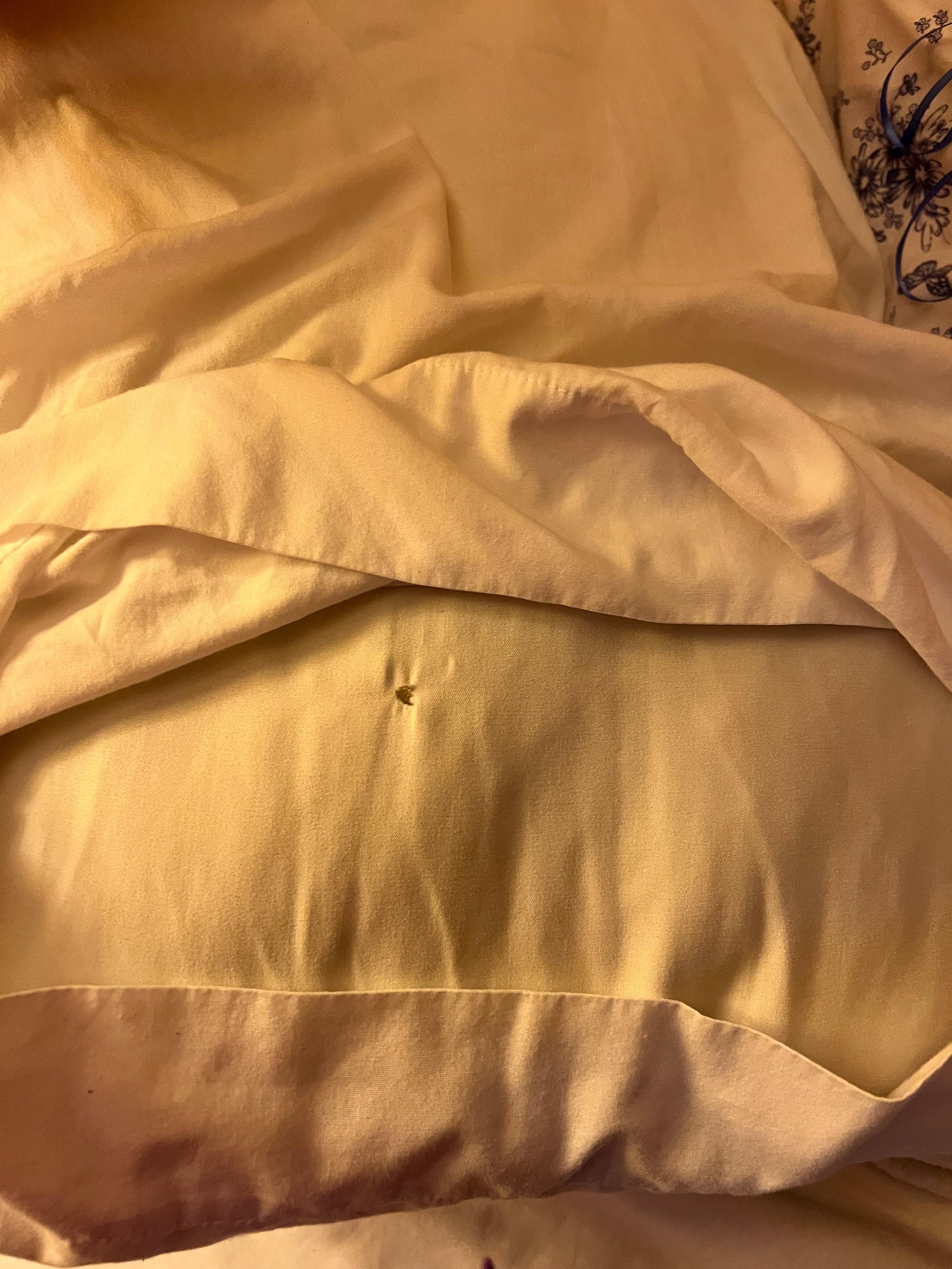 Dried snot on pillows