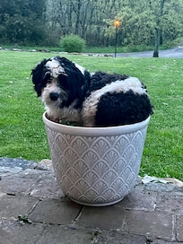 Hmmm .. That looks comfortable