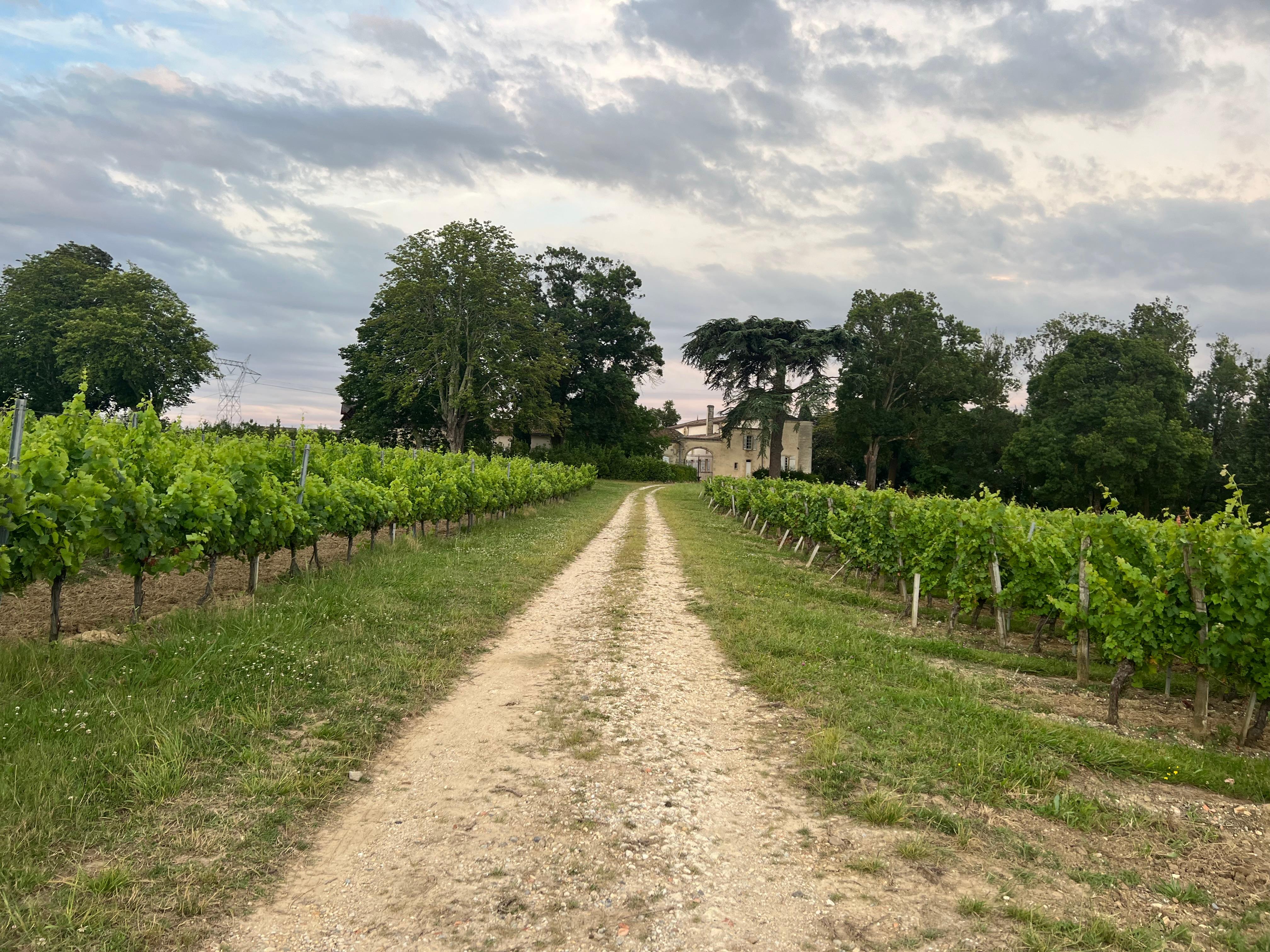 Beautiful path to the chateau 