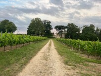 Beautiful path to the chateau