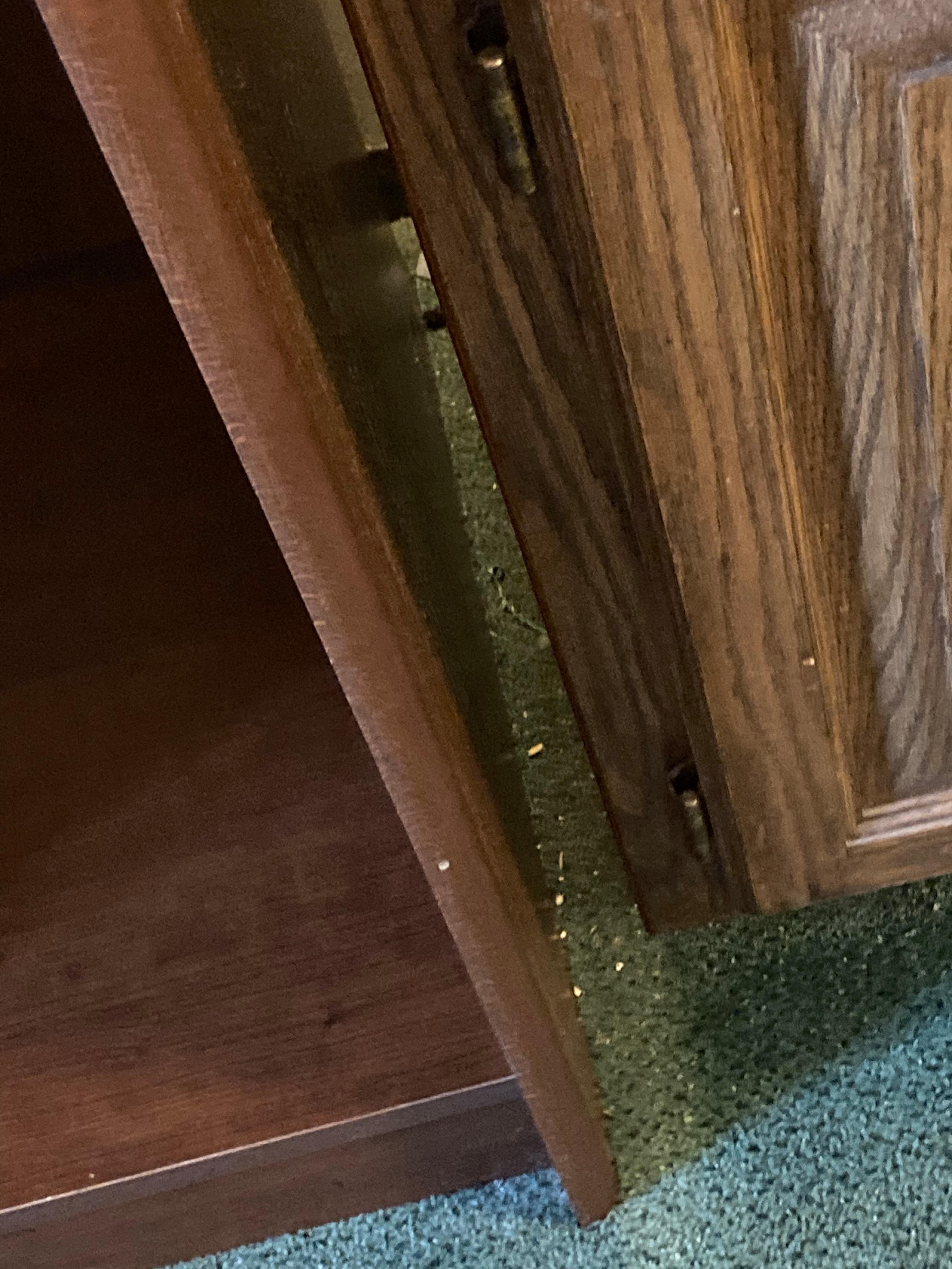 Garbage and dust between furniture that has not seen a vacuum in over six or more months. 