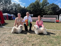 Hundutställning i Rönne
Vi vann😄