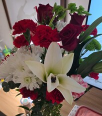 We spent Christmas 🎄 at the Spark Hotel!