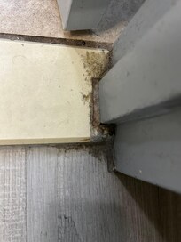 Mold and dirt on floor.