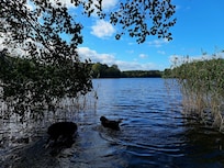 See am Hexenwäldchen