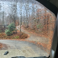 The driveway to the cabin.