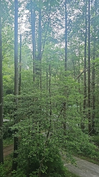 View from the cabin